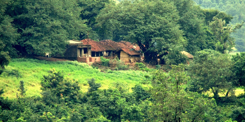 View of a cosy cottage amidst the lush forests of Araku valley, one of the best hill stations near Kurnool