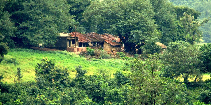 A panoramic view of the lush green hills of Araku Valley, with terraced fields and misty mountains