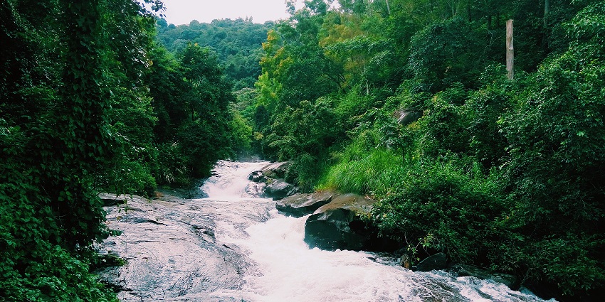 Trek up the streams of the Aramala River for a majestic view of the surroundings