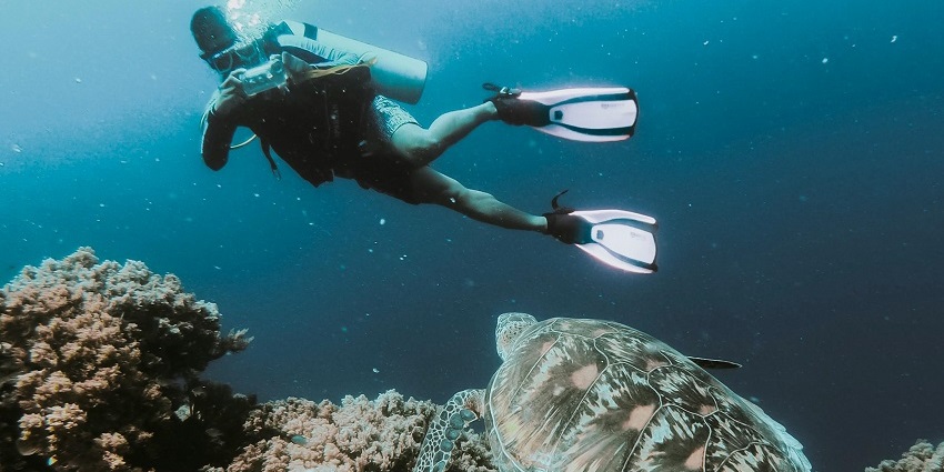An image of a person swimming underwater taking photos of a turtle and other marine life.