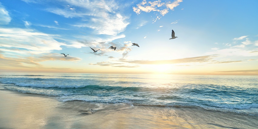 A glimpse of Ashwem Beach in North Goa, offers a tranquil and romantic setting for couples.
