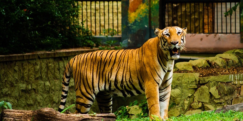 Atal Bihari Vajpayee Park is worth adding to the list of best zoos in Karnataka state.