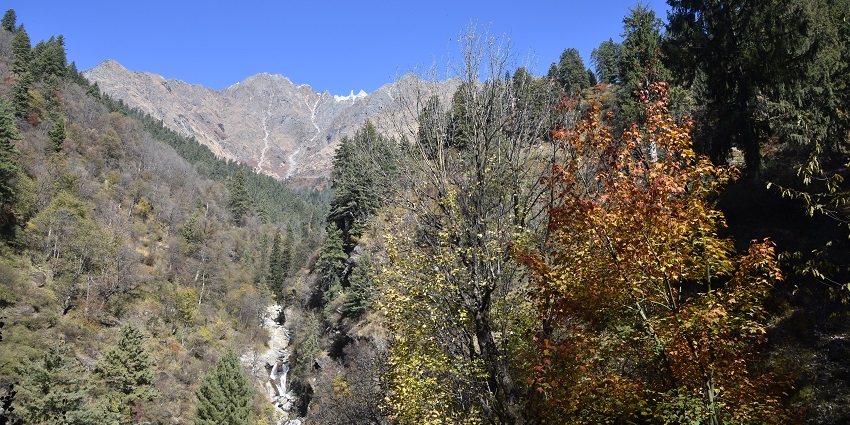 Tosh offers stunning panoramic views of the surrounding snow-capped peaks and lush green valleys.