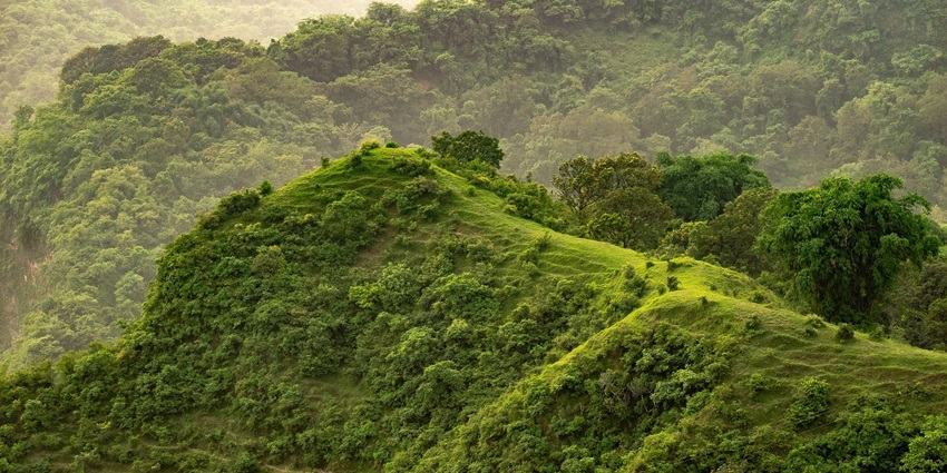 Rolling hills and thick forests of Biligiriranga Hills merge with Eastern-Western Ghats.