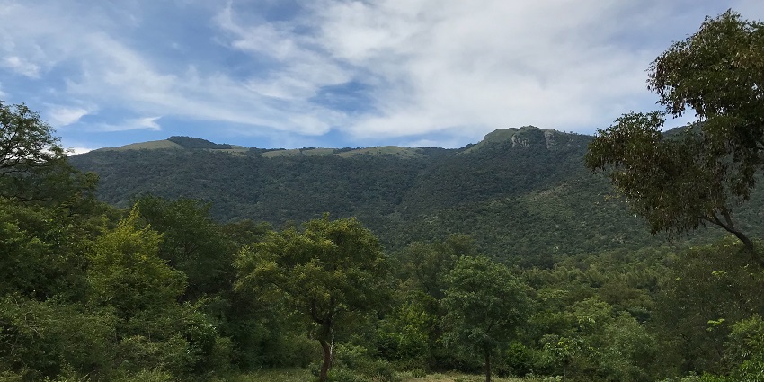 Scenic view of a trekking trail through the lush forests and verdant hills on the background
