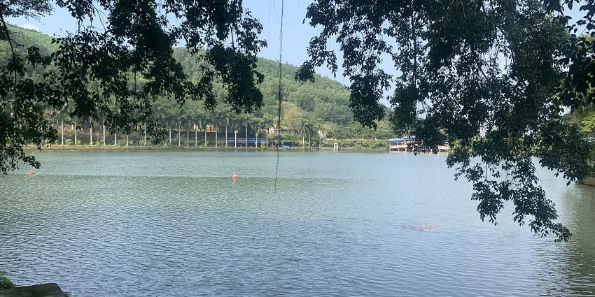 Scenic view of Ao Vua Lake’s peaceful waters and forested surroundings in Ba Vi National Park