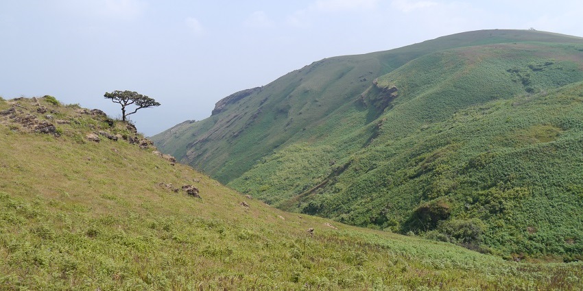 Baba Budangiri atop a little platform is one of the best hill stations near Udupi.