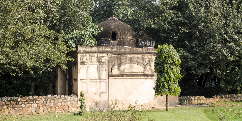 An old mosque in Gujarat, hidden in green bushes with a strong religious and historical influence