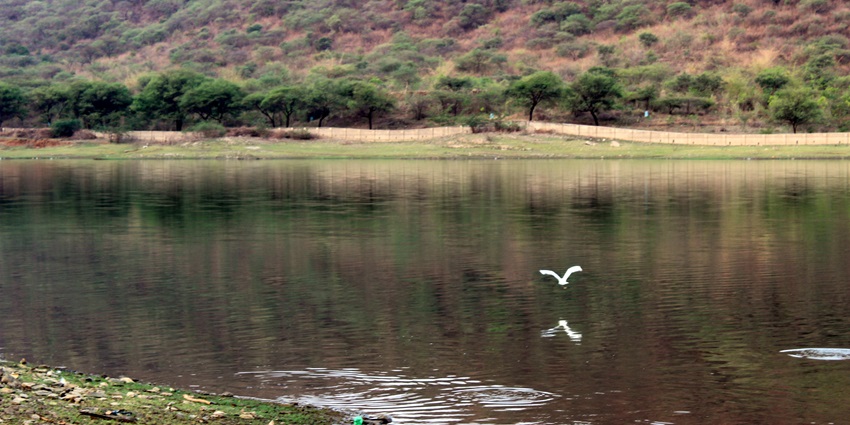 A tranquil lake under the moonlight, reflecting the twinkling stars in its still waters, , one of the best places to visit in Udaipur at night.