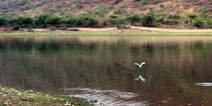 A view of the Badi Lake, one of the serene places to visit in Udaipur in October.
