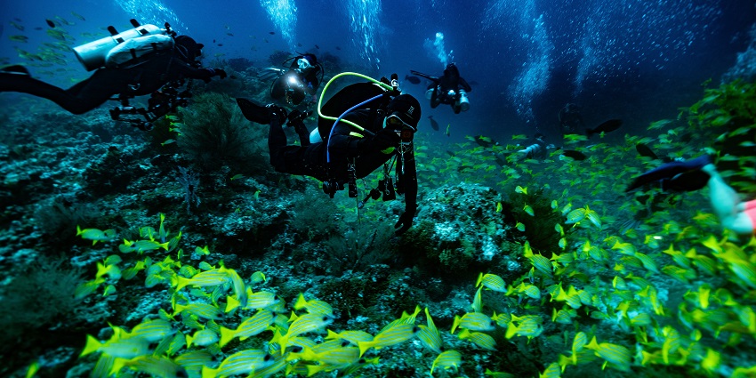 Image of group of people scuba diving showcasing clear water and coral reefs