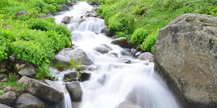 Bagra, surrounded by lush greenery, is a must-visit attraction in this Odisha district.