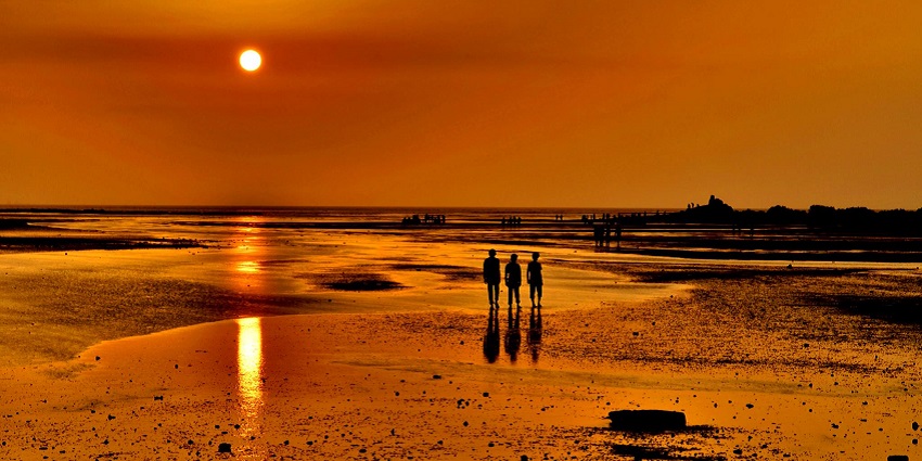 Snapshot of the Balachadi Beach during the evening sunset time in the state of Gujarat