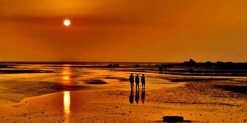 Golden hues at Balachadi Beach as silhouettes stroll along the reflective, wet shoreline