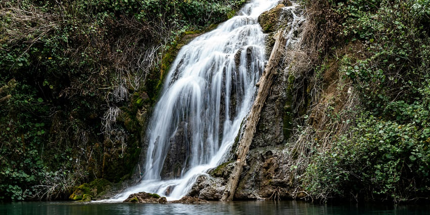 Image of waterfall cascades through a lush green forest, surrounded by vibrant foliage