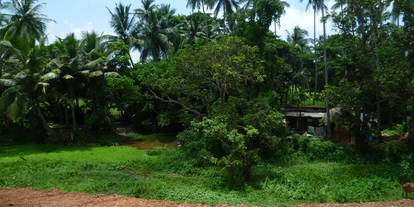 Bampal Village is a must-visit destination near Sakhigopal Temple for culture vultures.