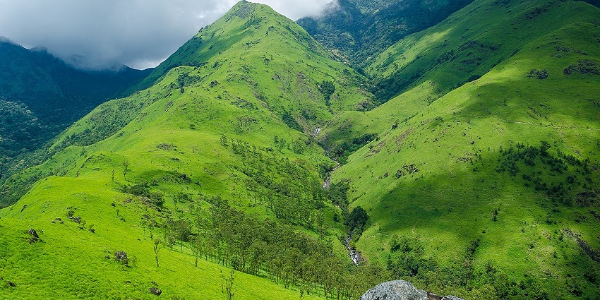 Trek to Banasura Hills for stunning views of the grasslands blanketing the valley here