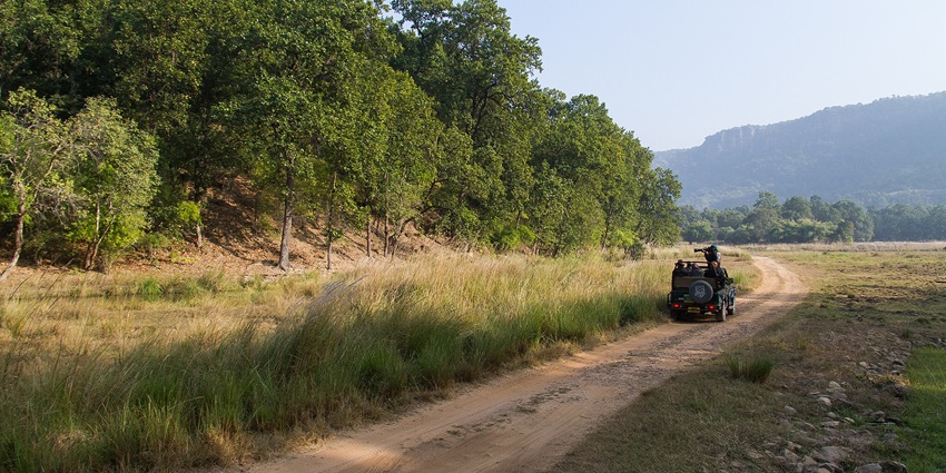 Snapshot of the beautiful grasslands of the popular national park near Jabalpur.