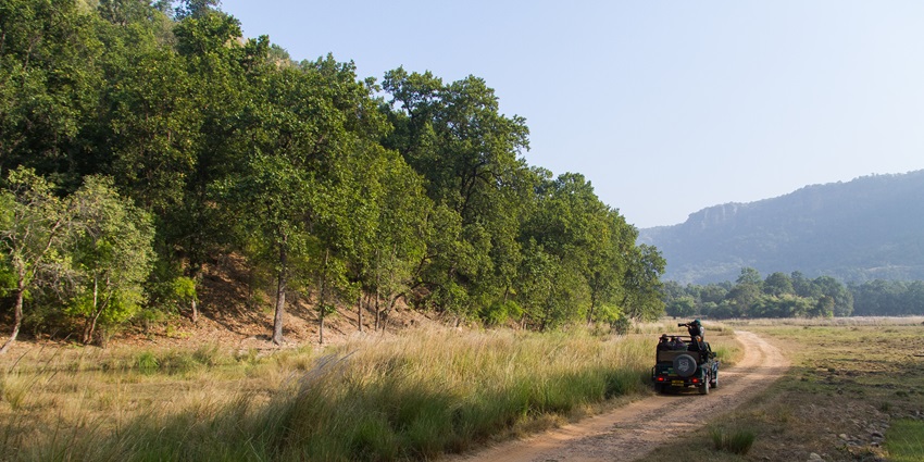 Grasslands of the Banfhavgarh National Park, one of the best places for sighting tigers