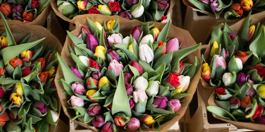 Flower Market is one of the biggest flower markets in the world located in Bangkok.