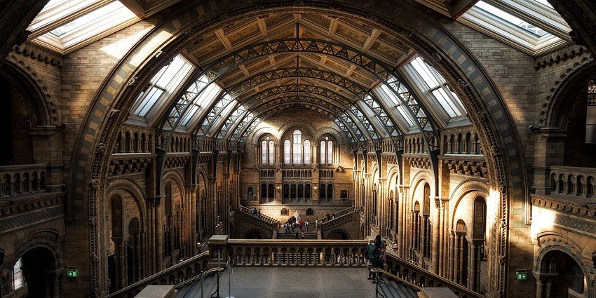 An image showing a museum set amidst a natural surrounding with stunning architecture.