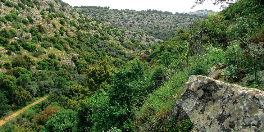 Barda Hills Wildlife Sanctuary is one of the most lush places for trekking in Gujarat.