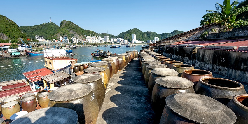 Barrels kept along the shore of the Cat Ba island as a prop for decoration.