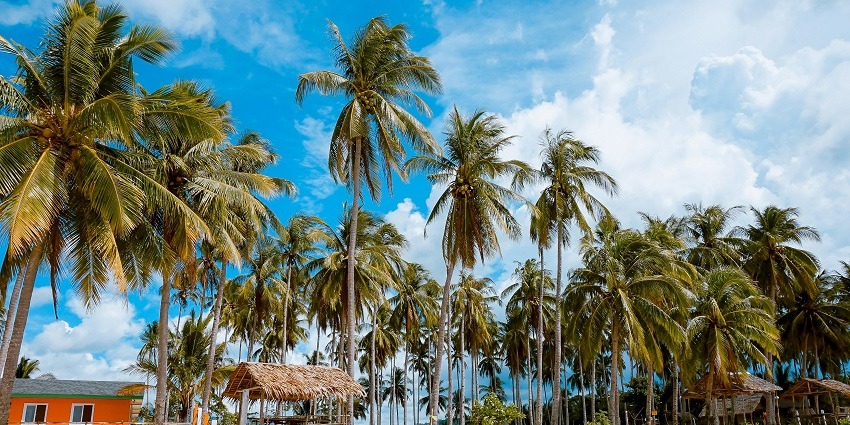 Colourful beach shacks lined along the sandy shore, inviting relaxation and seaside fun.