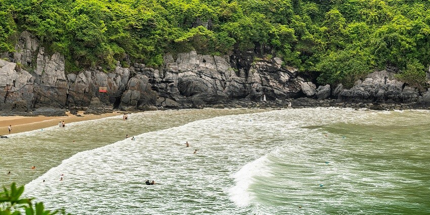 You can reach Cat Ba island through ferries which operate from the beaches of the same.