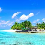 An astonishing view of golden sands decked with tall plam trees meeting the azure waters.