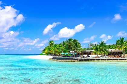 An astonishing view of golden sands decked with tall plam trees meeting the azure waters.