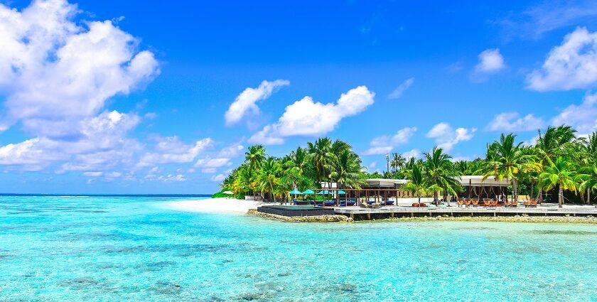 An astonishing view of golden sands decked with tall plam trees meeting the azure waters.