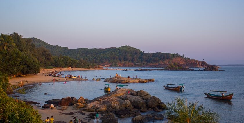 The beaches near Belgaum are surrounded by dense forests and rocky hills, featuring traditional fishing boats.