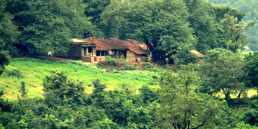 The state of Andhra Pradesh has scenic views which capture every tourist’s heart.
