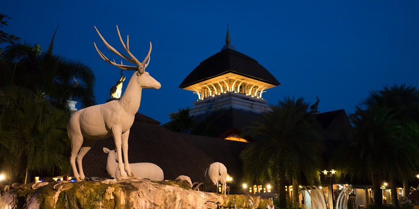 The ‘Behind the Zoo Activity’ zone showcases nocturnal animals for wildlife conservation