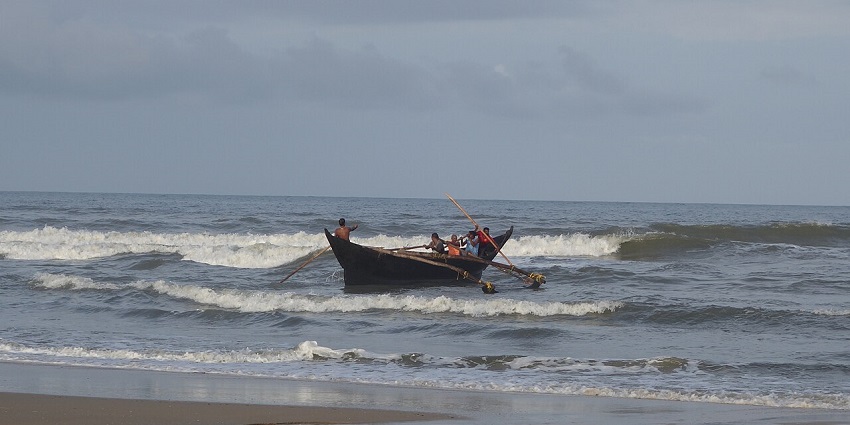 Benaulim Beach is located near the village of Benaulim in South Goa and has a variety of marine species