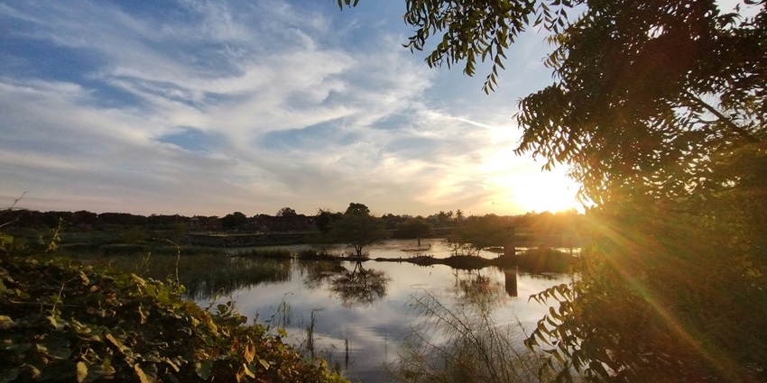 A breathtaking view of a water body surrounded by lush trees and bushes during the day.