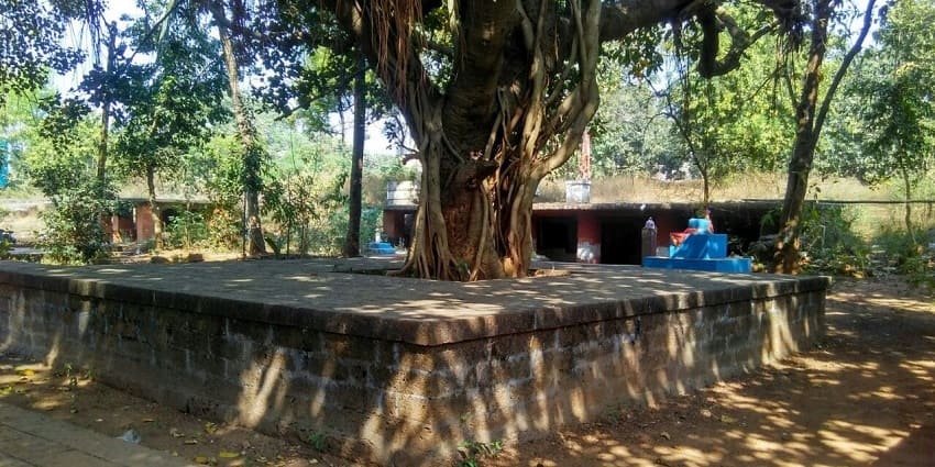 The best time to visit Panchu Pandav Caves is the winter season.