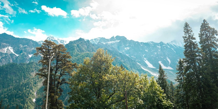 A breathtaking view of a mountain range covered in snow in front of trees during the day.