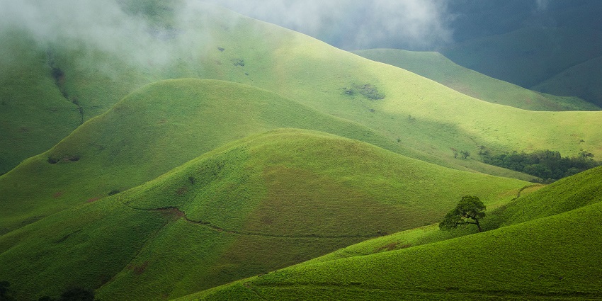 The best time to visit Kudremukh National Park is in winter.