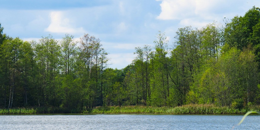Visitors need to consider the ideal time to visit the sanctuary for the best experience.
