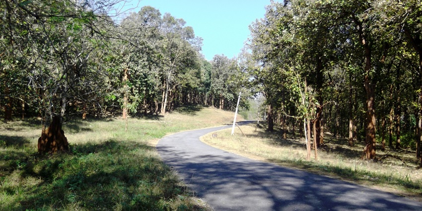 Considering the ideal time to visit Nagarhole National Park is best for visitors.