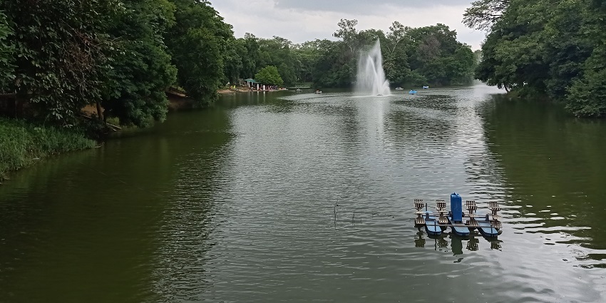 A view of a pond at the Patna Zoo, which is cool and pleasant in winters