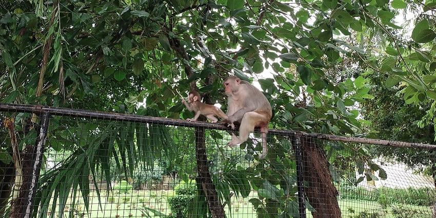 A pleasant winter day in Nandankanan Zoo, perfect for animal viewing and outdoor activities
