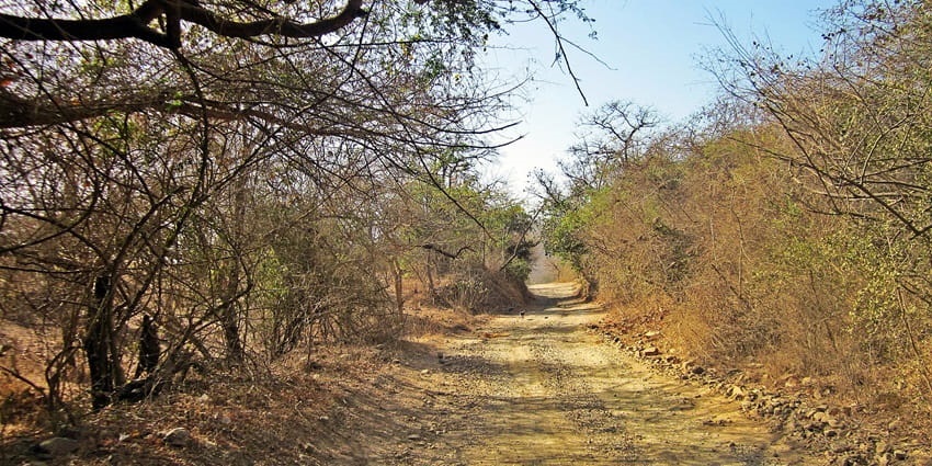 The best time to visit the Sarathana Nature Park is during winter stretch of the year