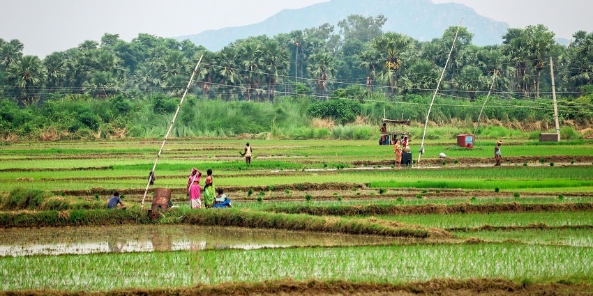 An image of the natural beauty of the Indian state of Bihar, known for its scenic beauty.