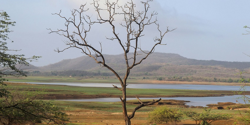 The best time to explore Gujarat is from December and March as the weather is soothing.