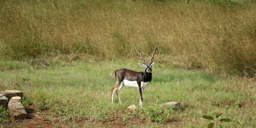 The best time to explore Gujarat is from October and March when the weather is cooler.