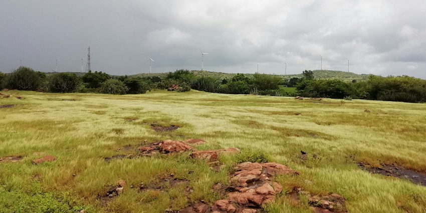 A stunning view of a lush green grassland with hills in the background during the daytime.