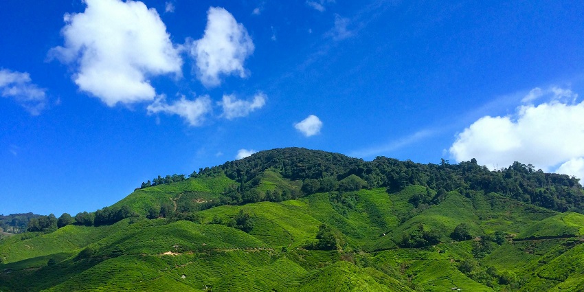 panoramic snap of the hills laden with lush green vegetation and clear environment